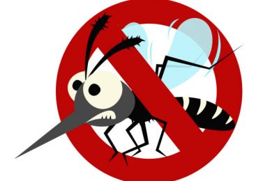 Tájékoztató földi szúnyoggyérítésről Tájékoztató földi szúnyoggyérítésről